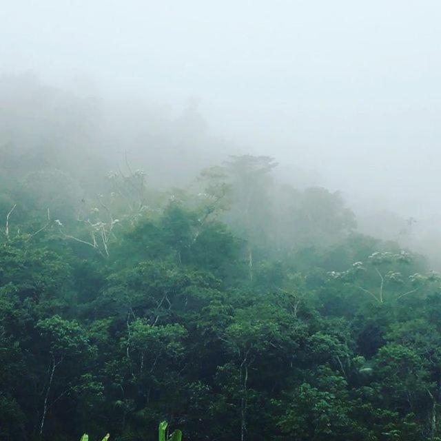 Sitio Recanto da Preguiça Santa Teresa  Exterior foto